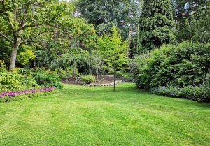 Optimiser l'expérience du jardin à La Chapelle-Hugon